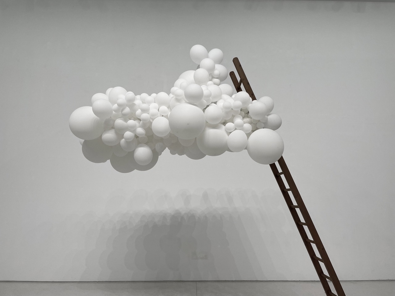 Times Art Mesuem